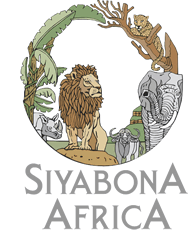 http://private-lodges.krugerpark.co.za