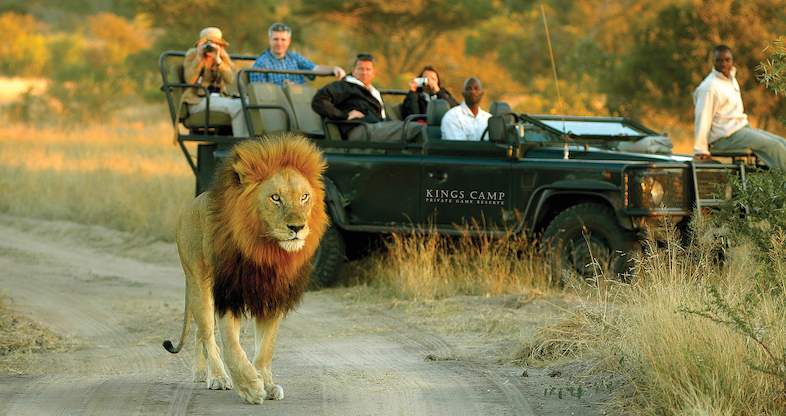 Luxury Greater Kruger Game Reserve Safari