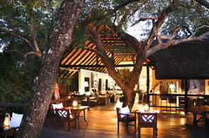 South Africa Holidays - Londolozi Tree Camp - Private Safari Lodges