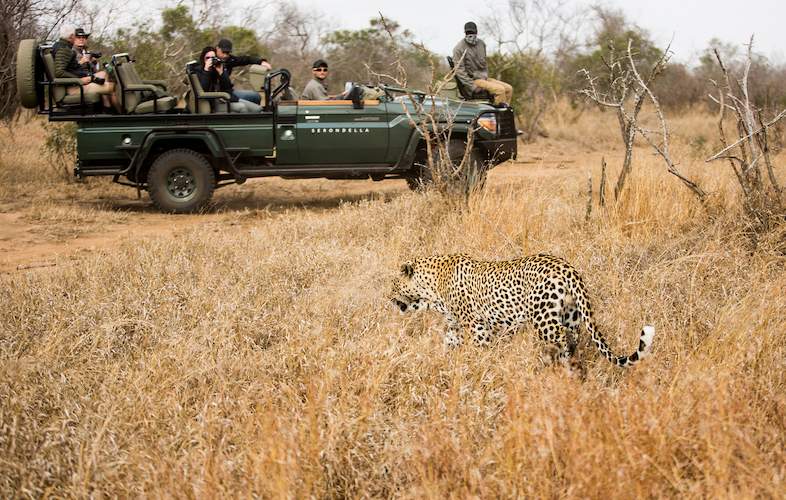 Serondella Game Lodge Activities - Thornybush Private Game Reserve